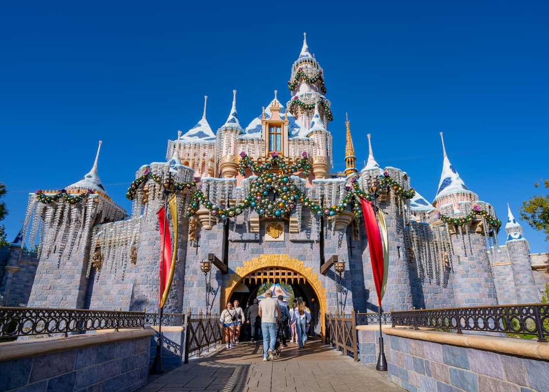 The Disney Sleeping Beauty Caste The Disney Sleeping Beauty Caste