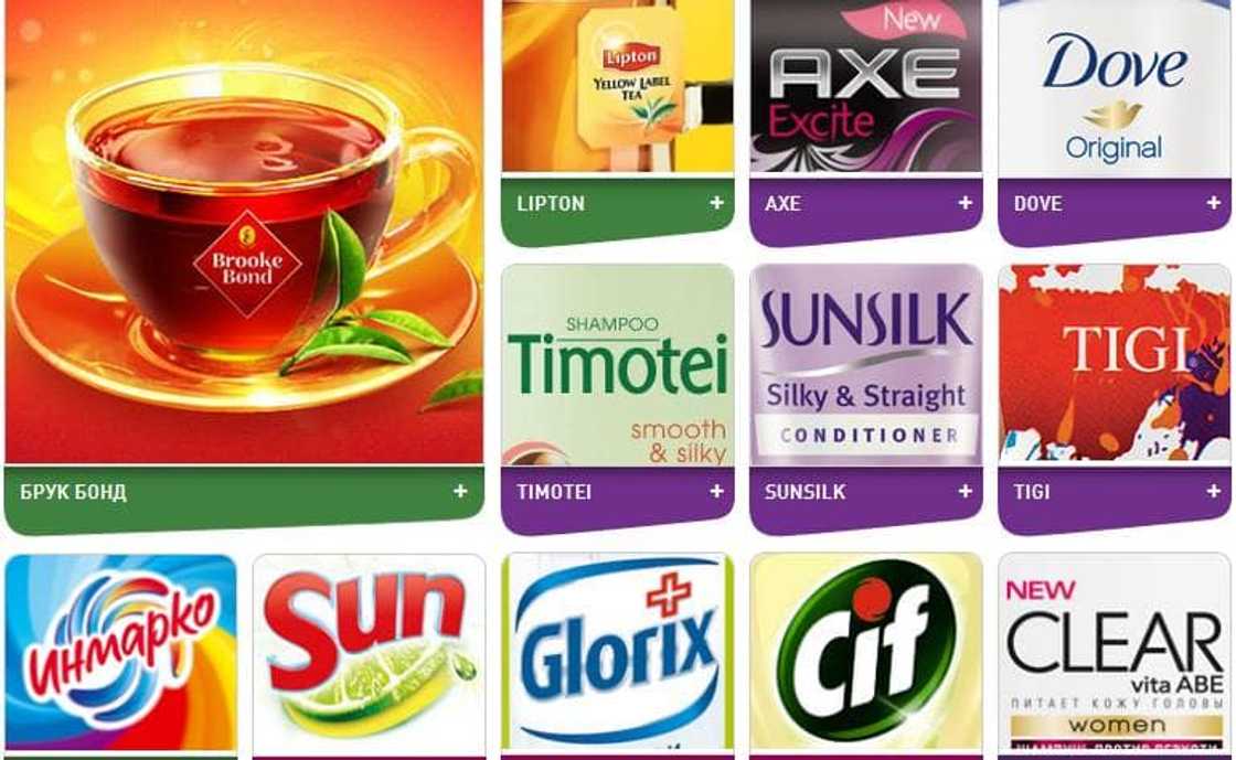 Unilever products wholesale South Africa Unilever products wholesale South Africa