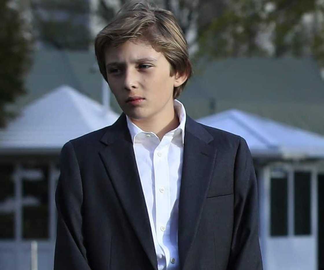 Barron Trump career