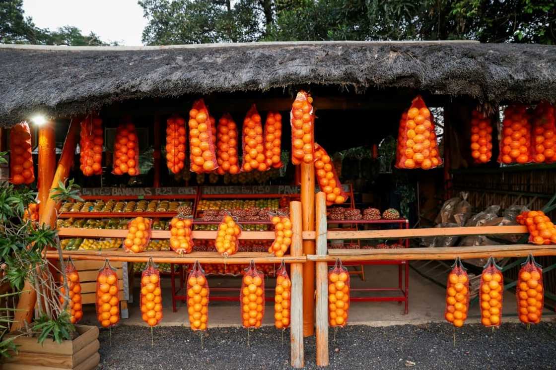 South Africa is the world's second largest exporter of fresh citrus after Spain