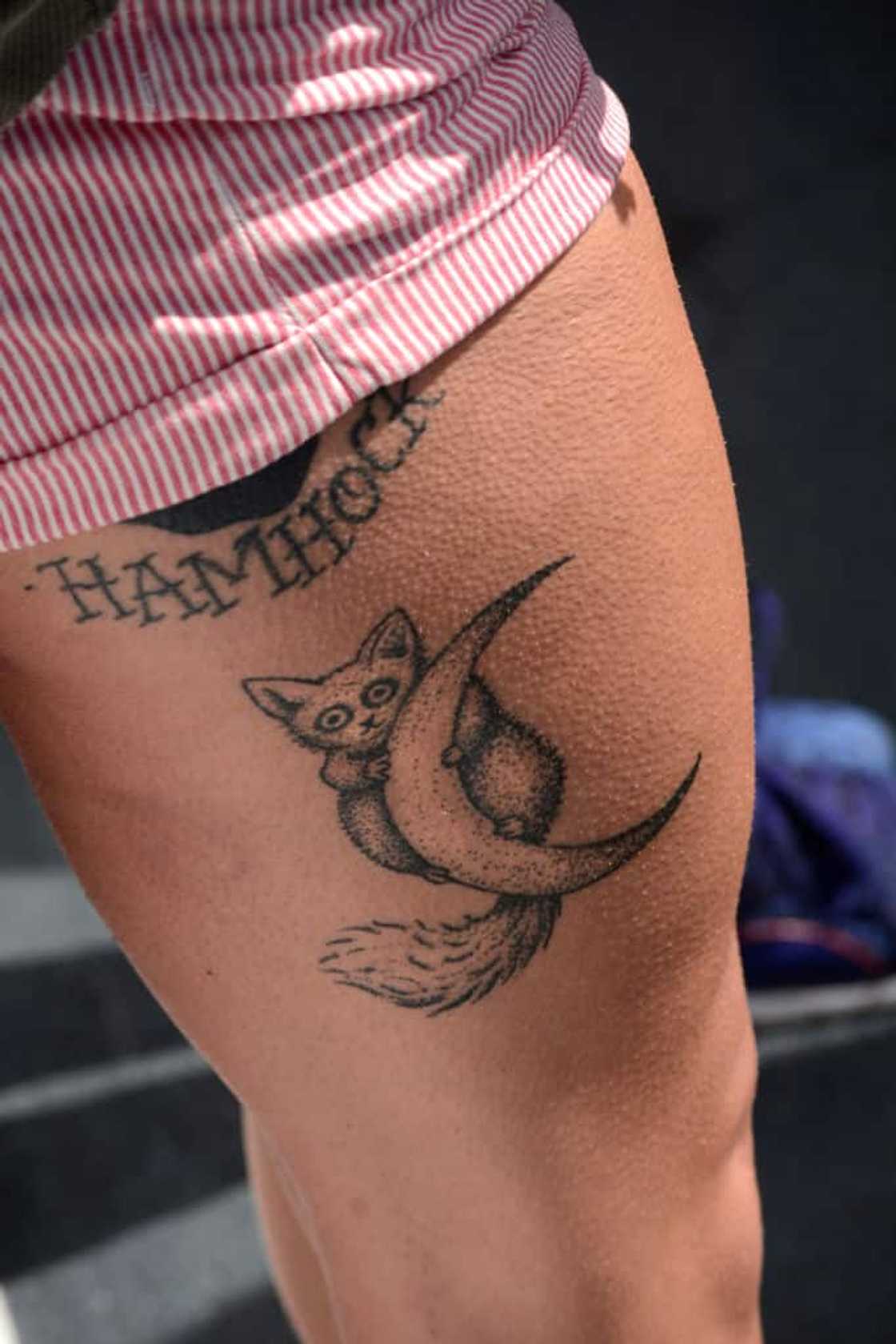 Moon Panda Moon Panda