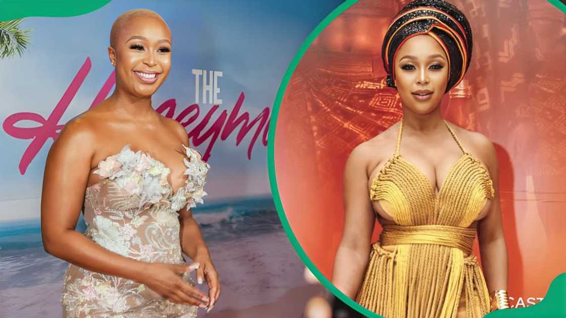 highest-paid South African actors highest-paid South African actors
