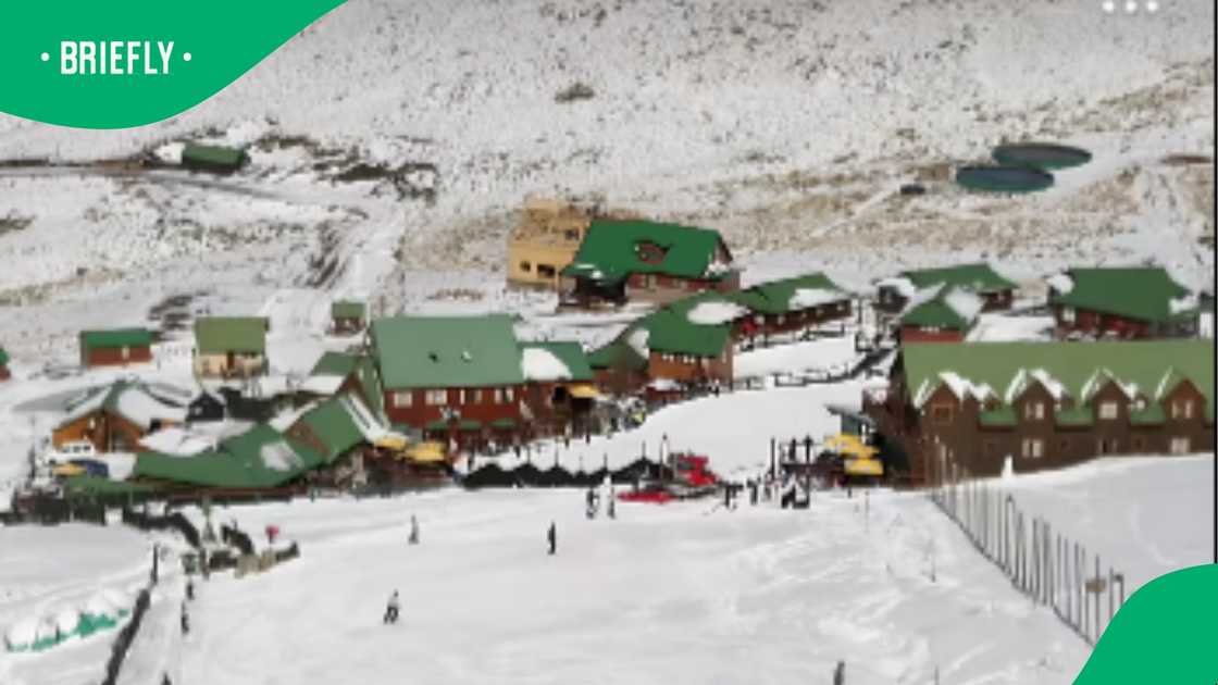 Tiffindell Ski Resort sparks dreams of jobs and revival on empty slopes
