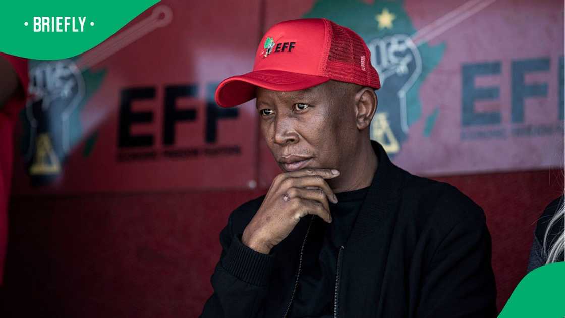 Julius Malema was snapped at an EFF event Julius Malema was snapped at an EFF event