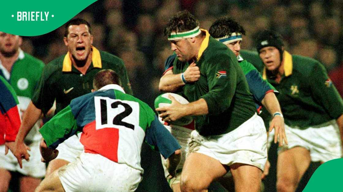 Springboks, South Africa, Toks Van Der Linde Springboks, South Africa, Toks Van Der Linde