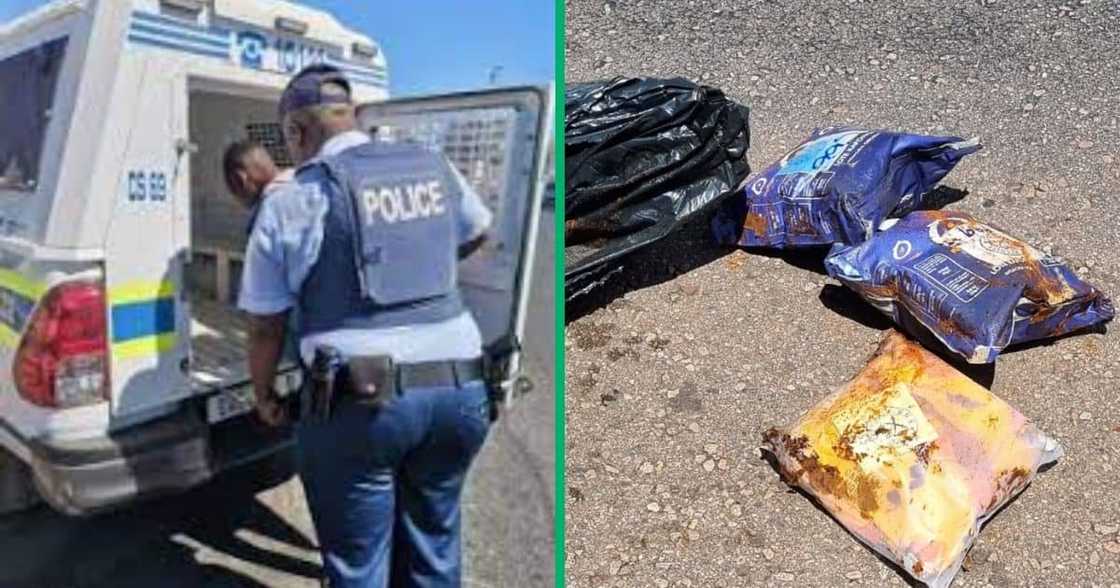 Drug bust in Limpopo Drug bust in Limpopo