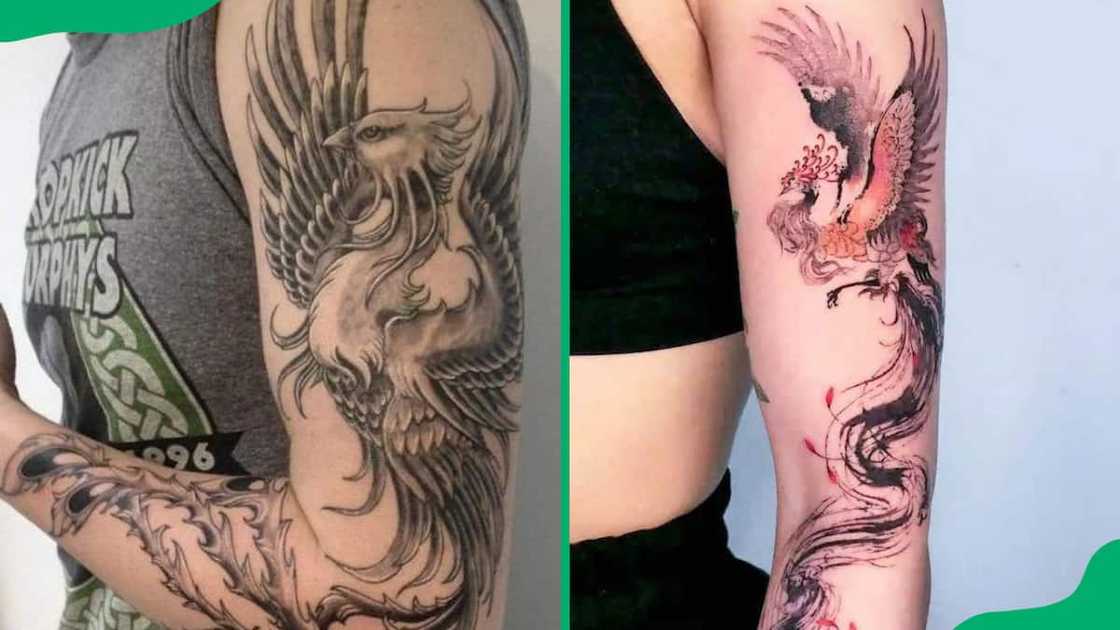 Arm phoenix tattoos Arm phoenix tattoos