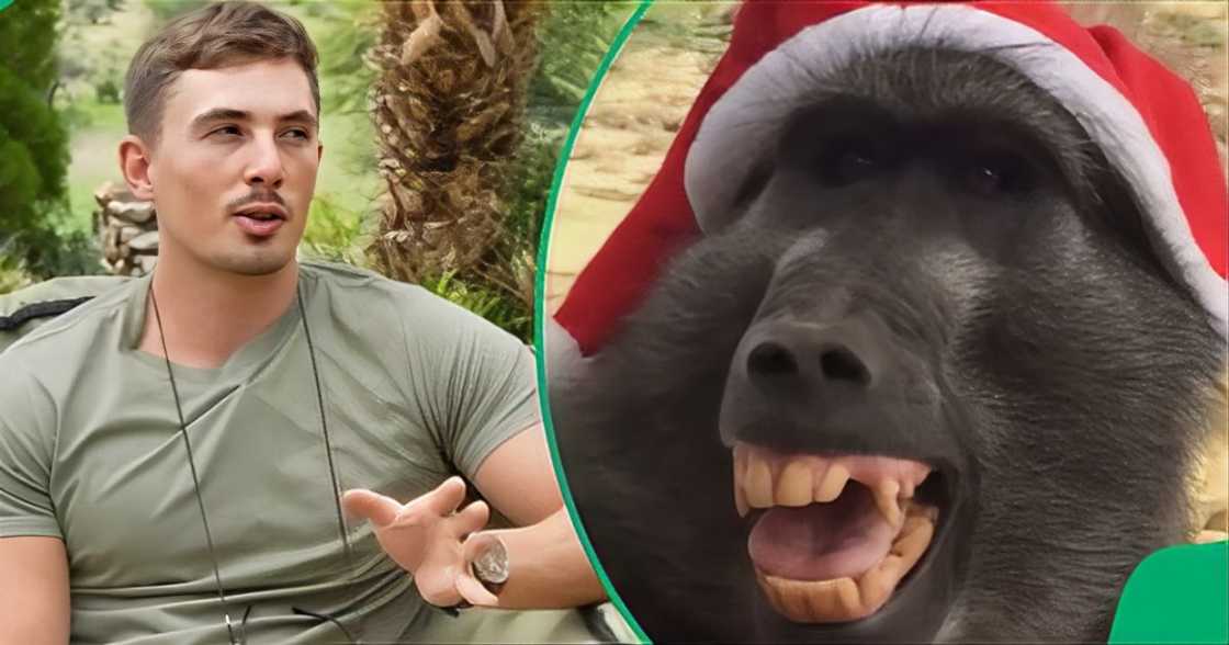 Gent explains having fury sister Gent explains having fury sister