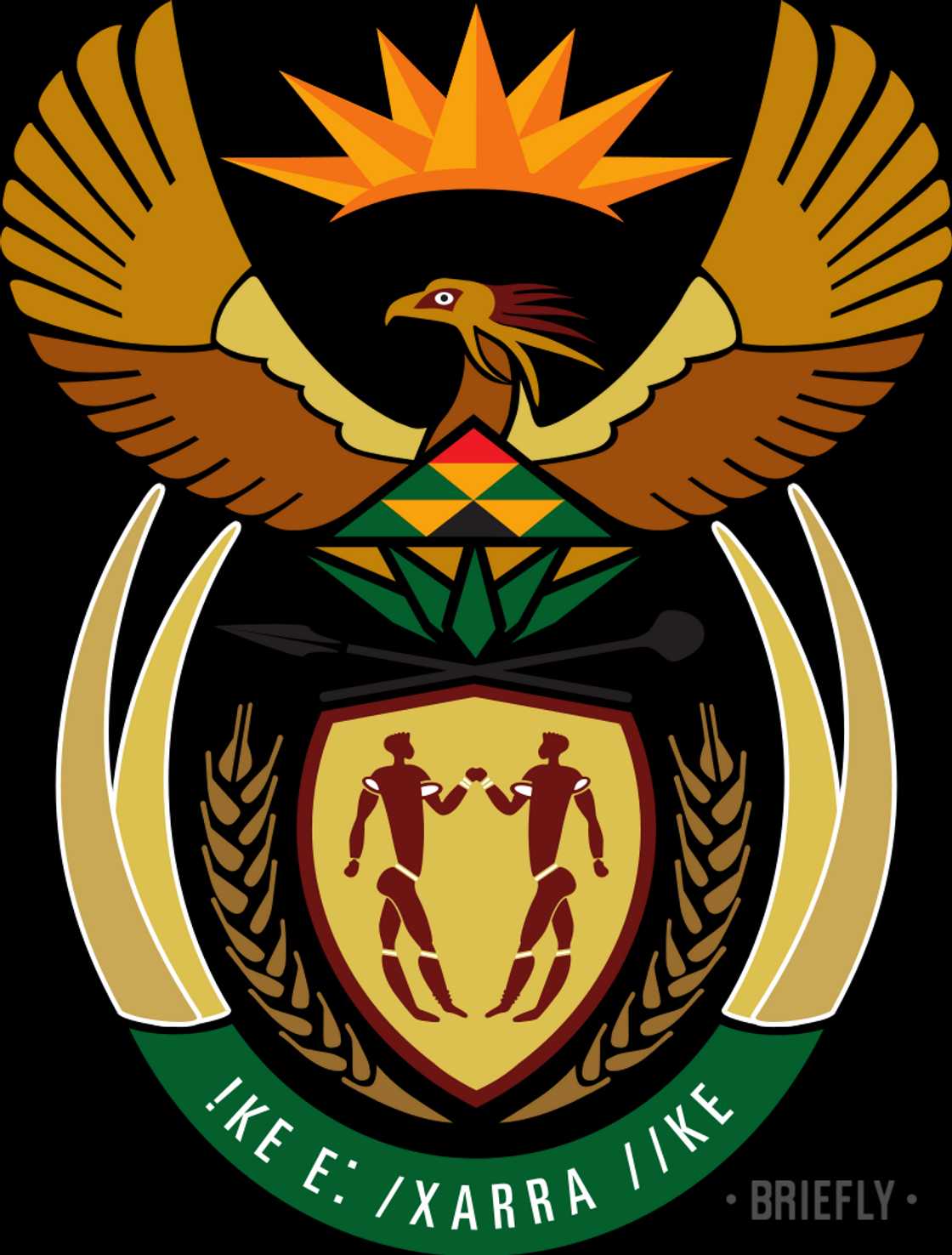 South African coat of arms explained in simple terms