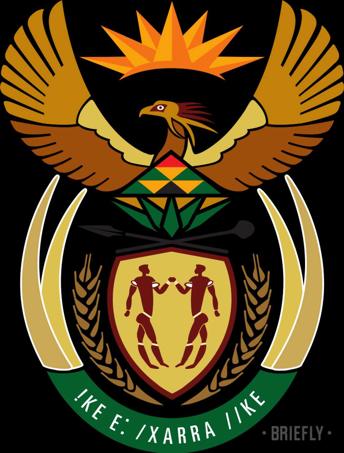 South African coat of arms explained in simple terms South African coat of arms explained in simple terms