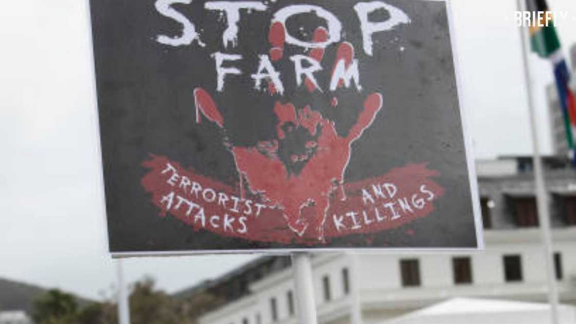 farm attack