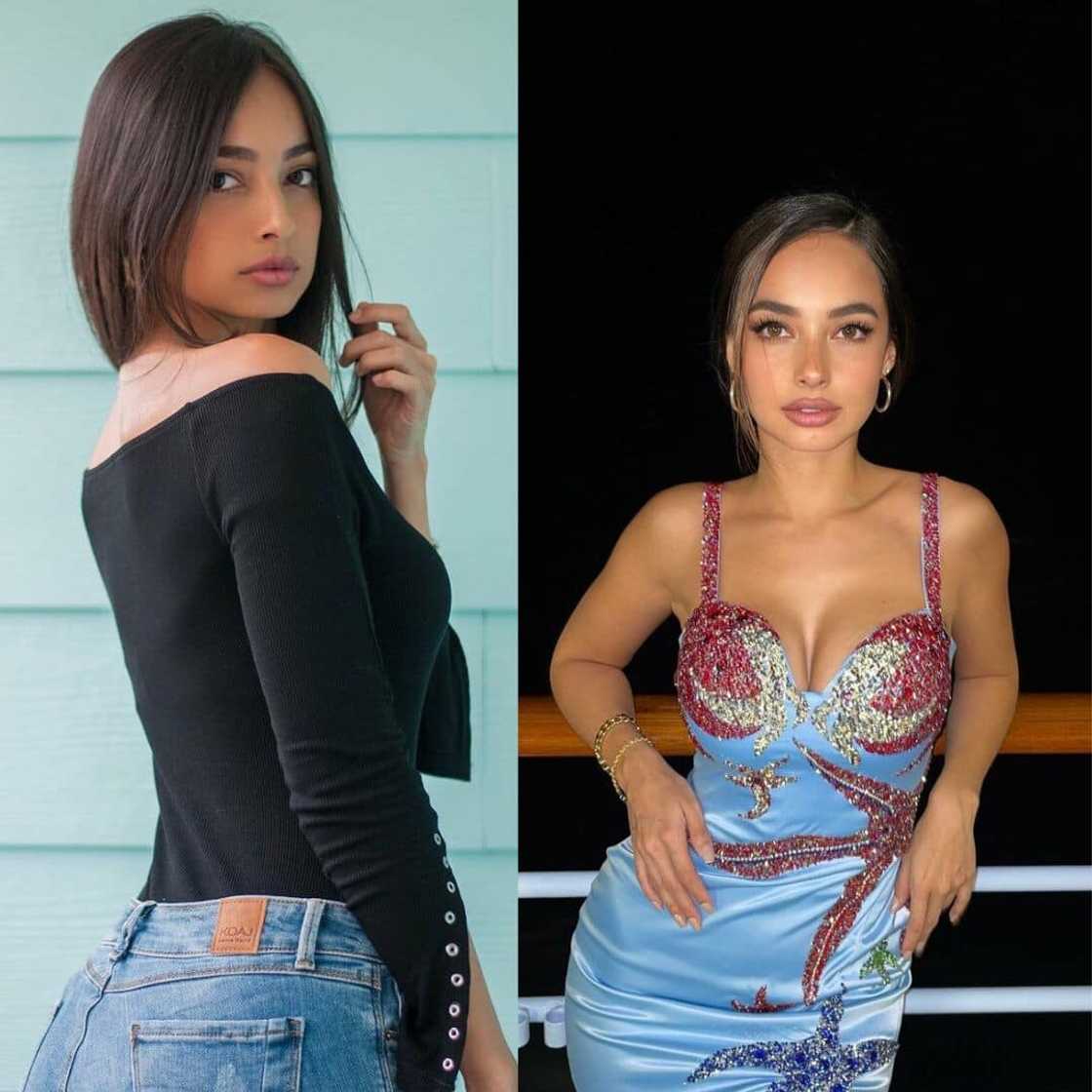 Dani Torres' occupation Dani Torres' occupation