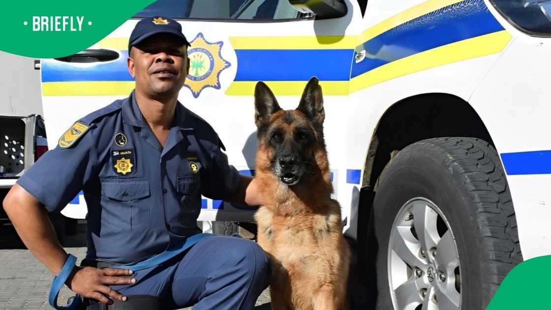 The Free State SAPS calls on the public to donate service dogs