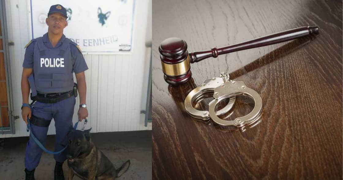 Police Dog, Arrests, Suspect, Attempting to Flee, reactions Police Dog, Arrests, Suspect, Attempting to Flee, reactions