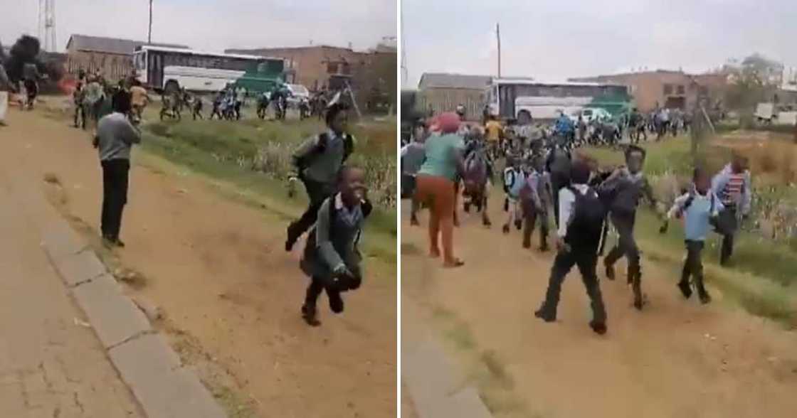 Alleged zama zamas terrorizsed school kids