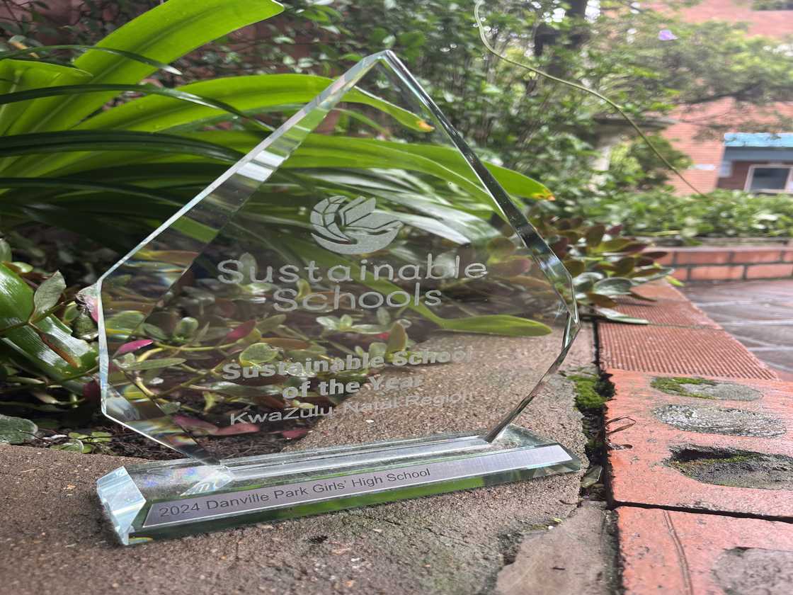 Most Sustainable School of the Year award. Most Sustainable School of the Year award.