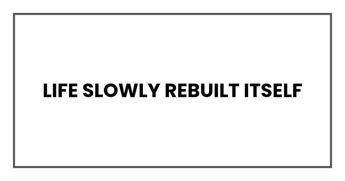 Life slowly rebuilt itself Life slowly rebuilt itself