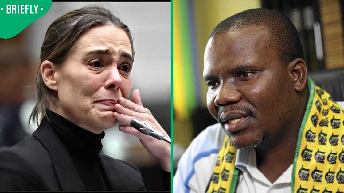 Chief Whip of the African National Congress (ANC), Mdumiseni Ntuli, weighed in on Sarah-Jane Trent's request