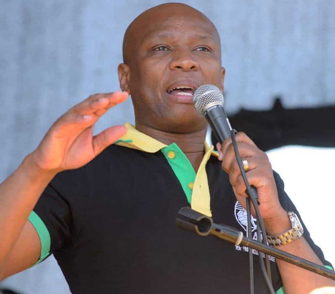 Zizi Kodwa de klerk Zizi Kodwa de klerk