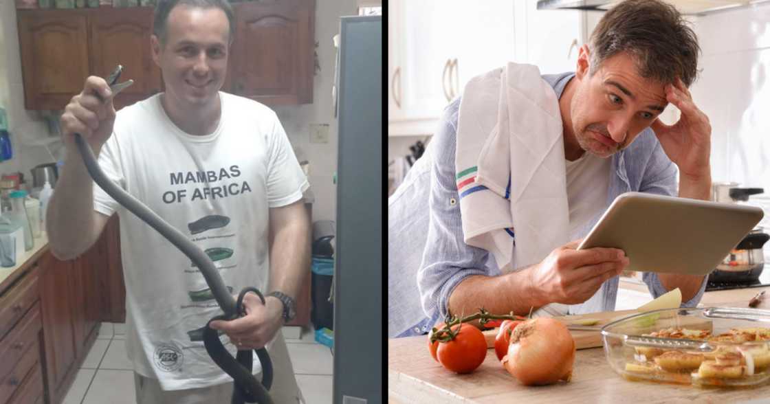 Black Mamba, Nick Evans, rescue, Durban, kitchen, dog, dangerous, venom Black Mamba, Nick Evans, rescue, Durban, kitchen, dog, dangerous, venom