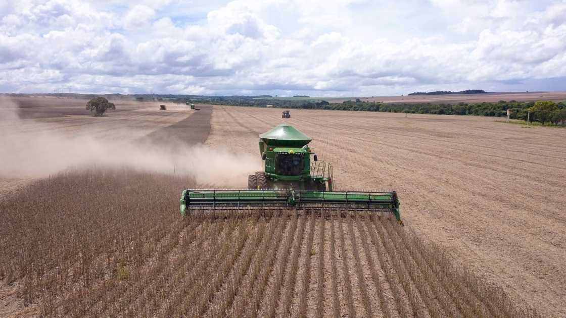 Workers harvest soybeans in Montividiu, Brazil Workers harvest soybeans in Montividiu, Brazil