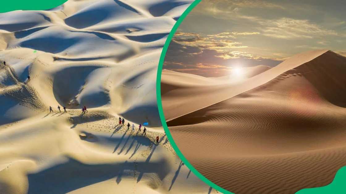 Driest desert Driest desert