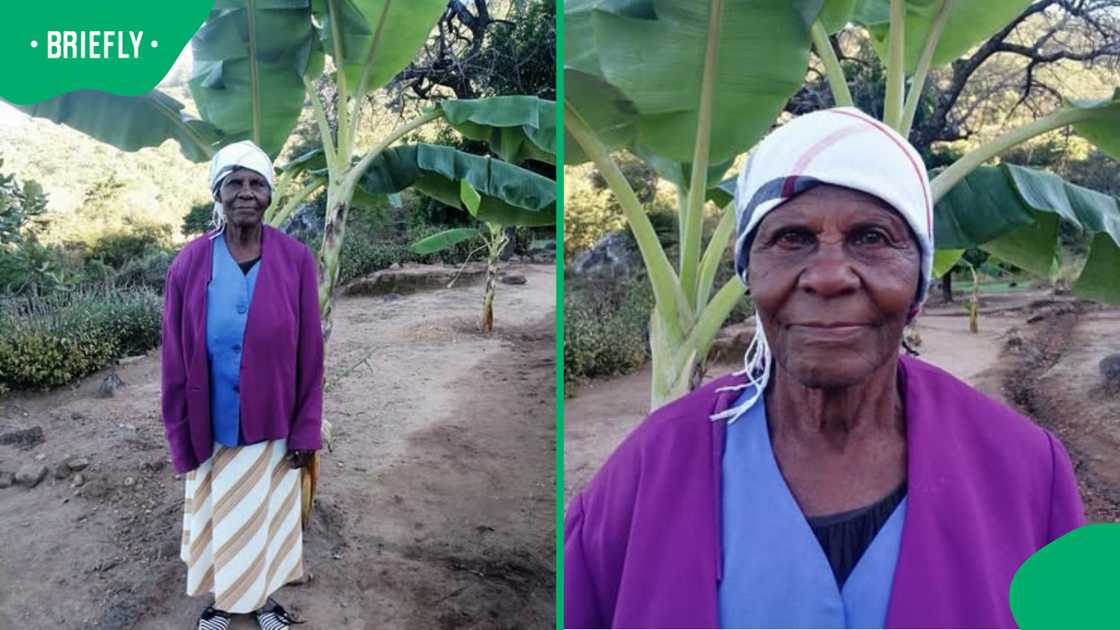 Nombithi Mciha seeks siblings lost across generation