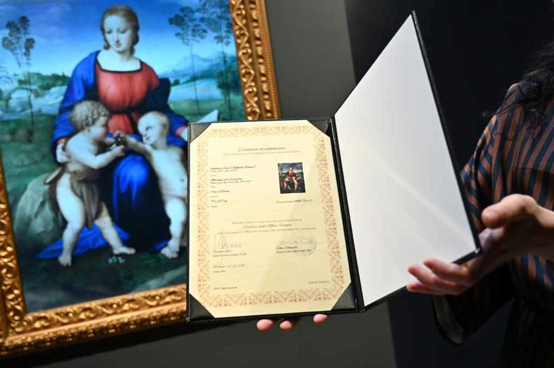 An Italian project to digitise works by masters such as Raphael has hit problems