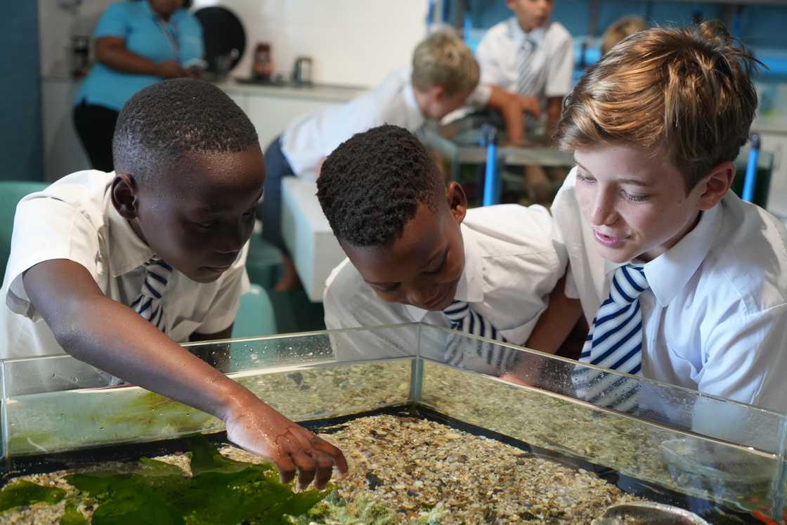 Kids learning about the ocean at Two Ocean Aquarium's touch display Kids learning about the ocean at Two Ocean Aquarium's touch display
