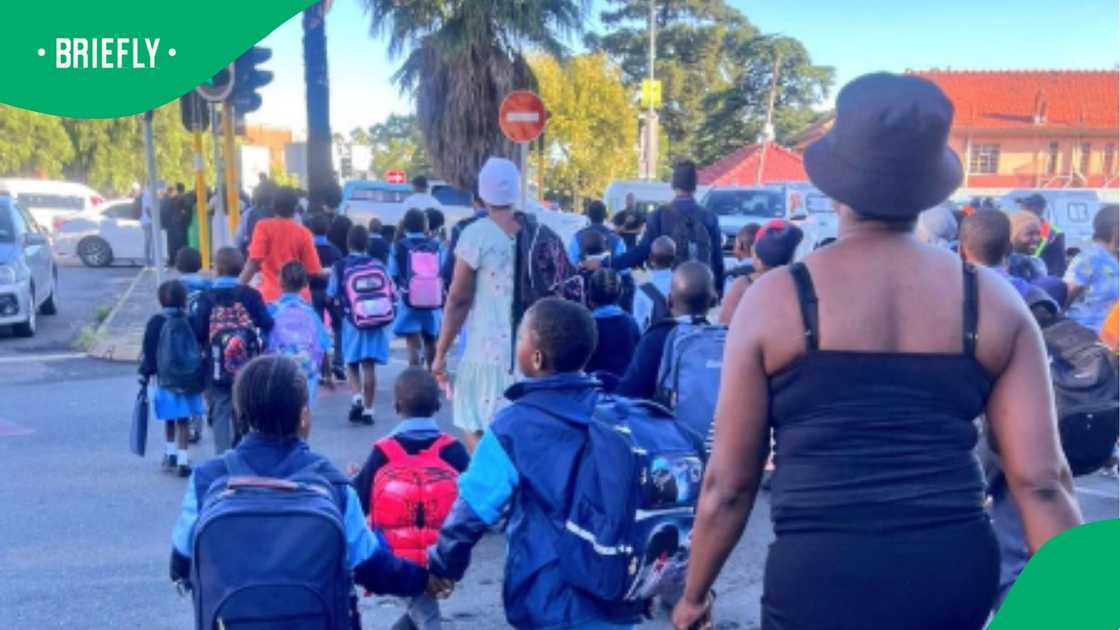 The Benoni Educational Scholar Transport Organisation says many of its drivers are giving affected learners free rides to and from schools. The Benoni Educational Scholar Transport Organisation says many of its drivers are giving affected learners free rides to and from schools.