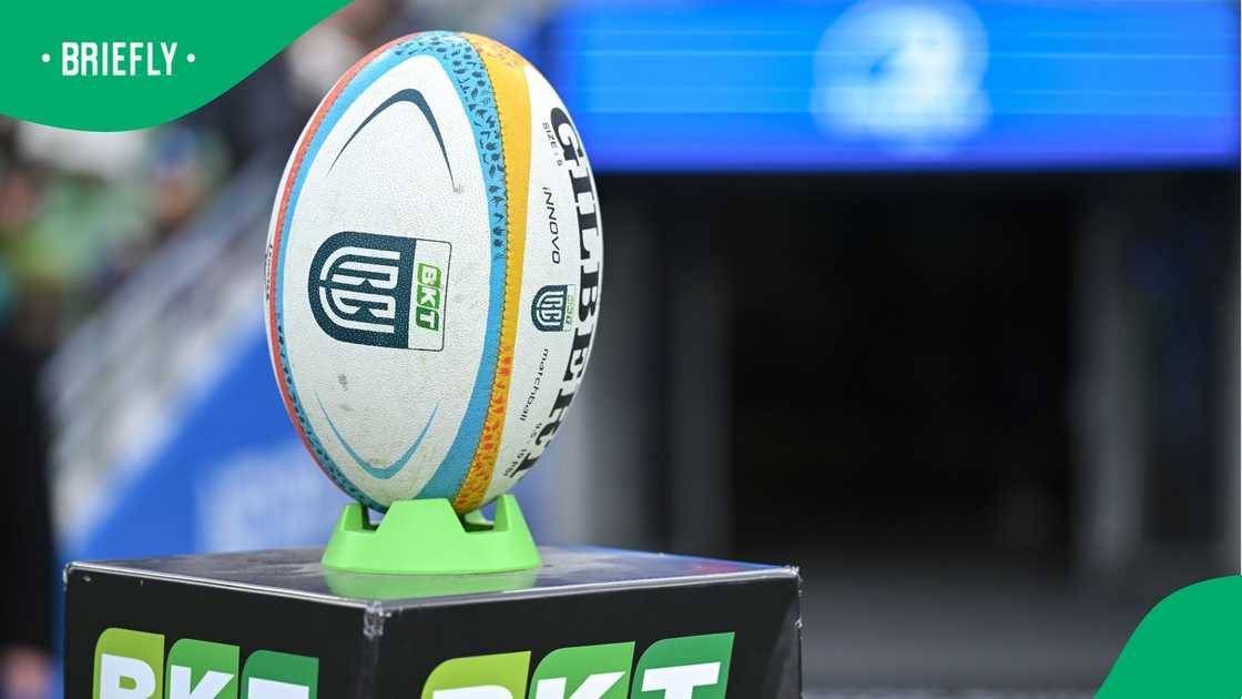 SA Rugby, Springboks, URC SA Rugby, Springboks, URC