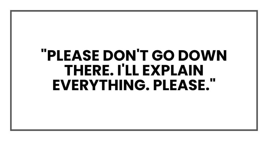 "Please don't go down there. I'll explain everything. Please."