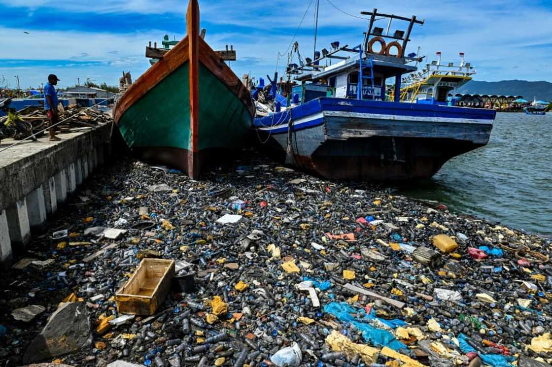 Some developing nations are concerned about rules that might place too great a burden on their economies Some developing nations are concerned about rules that might place too great a burden on their economies