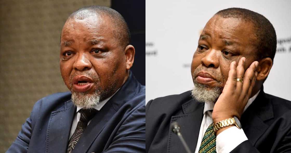 Gwede Mantashe, ANC, elections, unemployment, economy Gwede Mantashe, ANC, elections, unemployment, economy