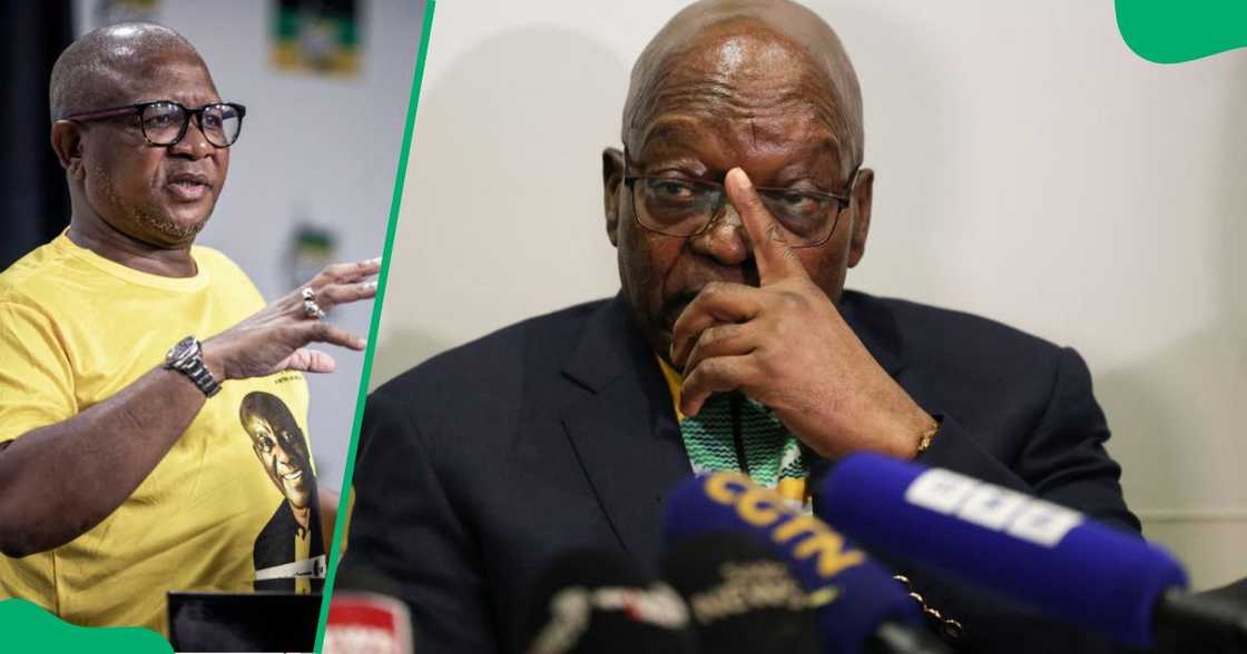 The ANC's secretary-general Fikile Mbalula slammed Jacob Zuma after his explusion