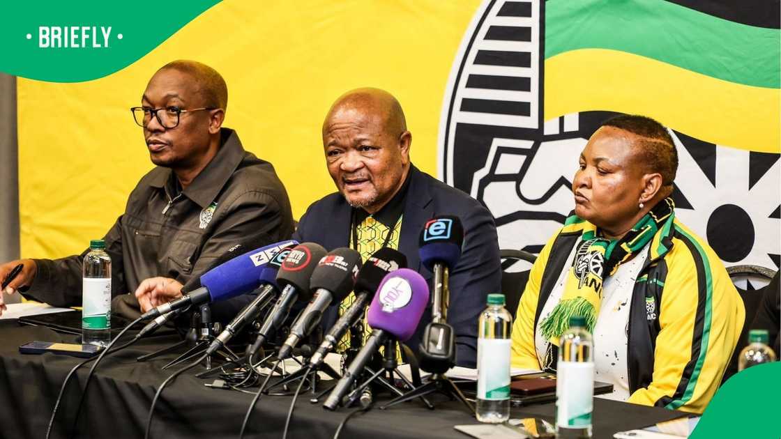 The National Executive Committee (NEC) reviewed the situation involving Senzo Mchunu The National Executive Committee (NEC) reviewed the situation involving Senzo Mchunu