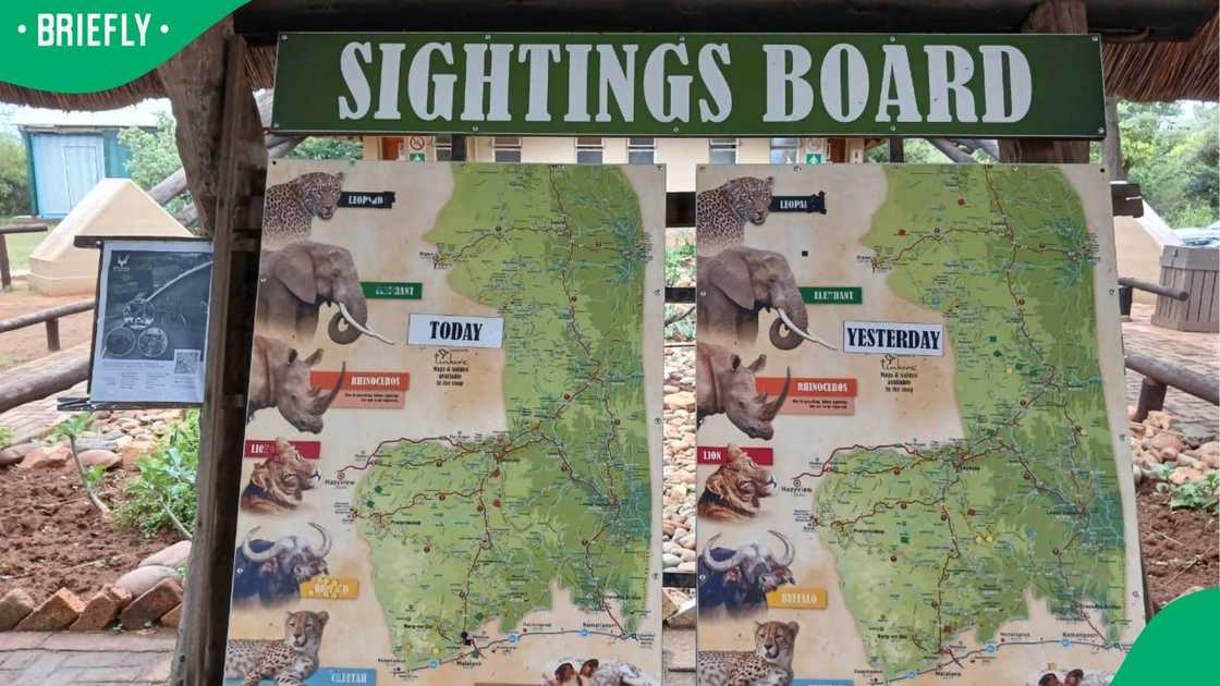 A search helicopter caught sight of the missing crew in a remote area A search helicopter caught sight of the missing crew in a remote area