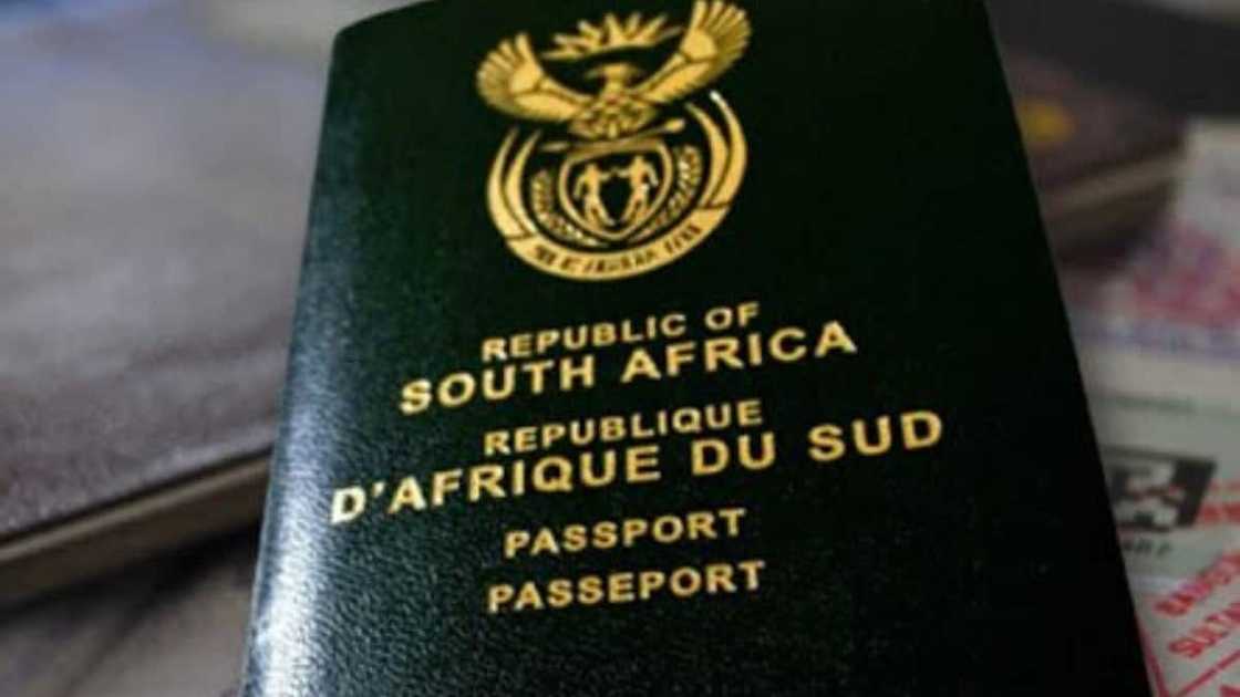 How to obtain a South African id book How to obtain a South African id book