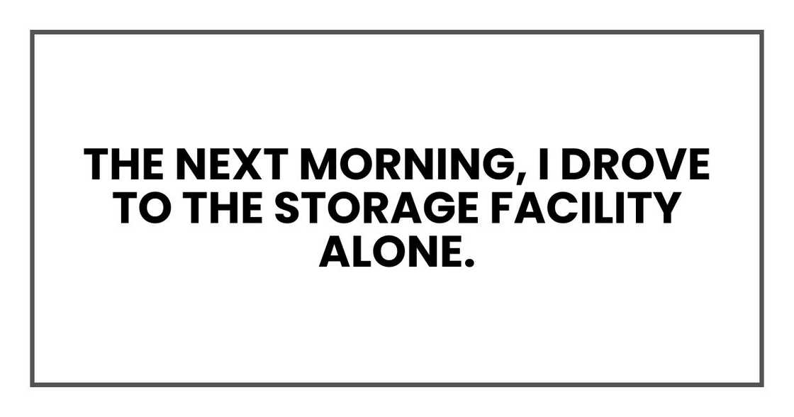 The next morning, I drove to the storage facility alone. The next morning, I drove to the storage facility alone.