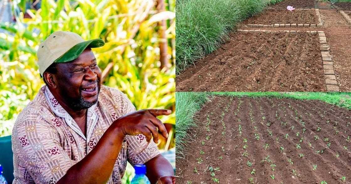Mboweni posts snaps of farm Mboweni posts snaps of farm