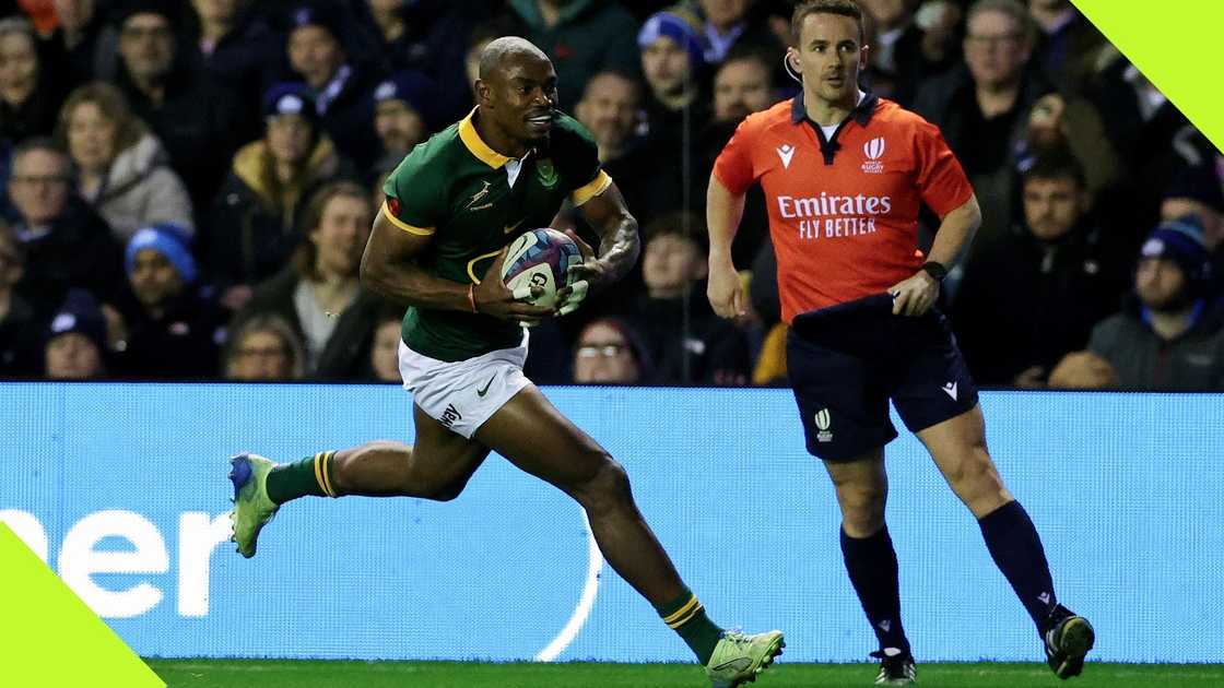 Makazole Mapimpi has an impressive try-scoring record for the Springboks. Makazole Mapimpi has an impressive try-scoring record for the Springboks.
