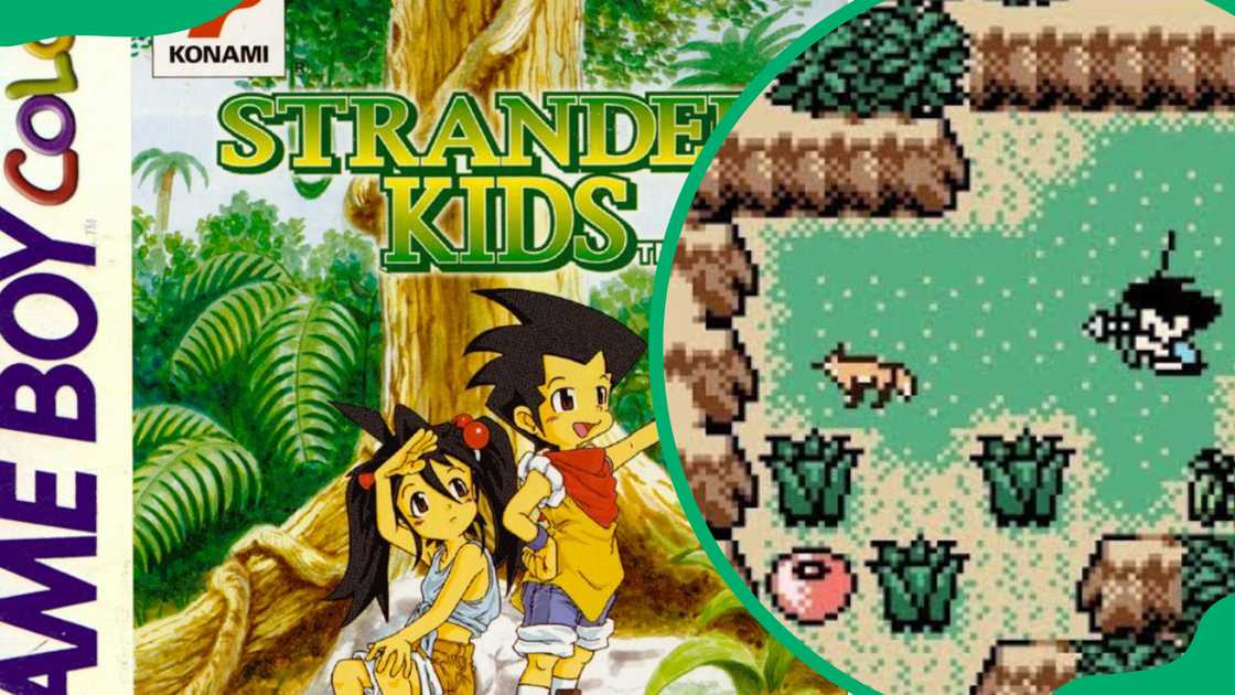 Survival Kids/ Stranded Survival Kids/ Stranded