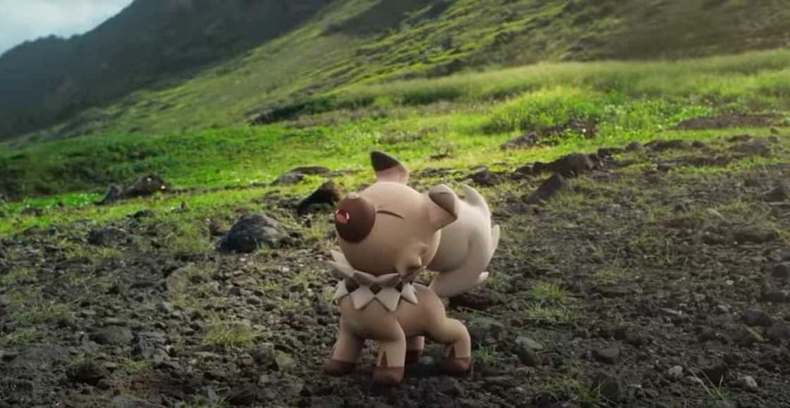 How many dog type Pokemons are there? How many dog type Pokemons are there?