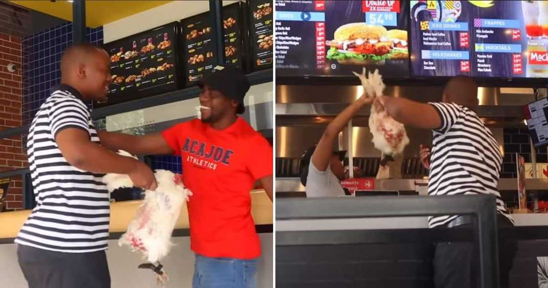 Lebogang Leisa's live chicken KFC, Nandos and Chicken Licken prank goes viral Lebogang Leisa's live chicken KFC, Nandos and Chicken Licken prank goes viral