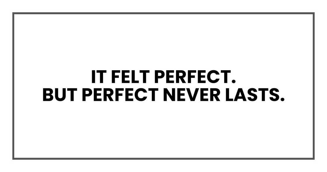 It felt perfect.
But perfect never lasts. It felt perfect.
But perfect never lasts.