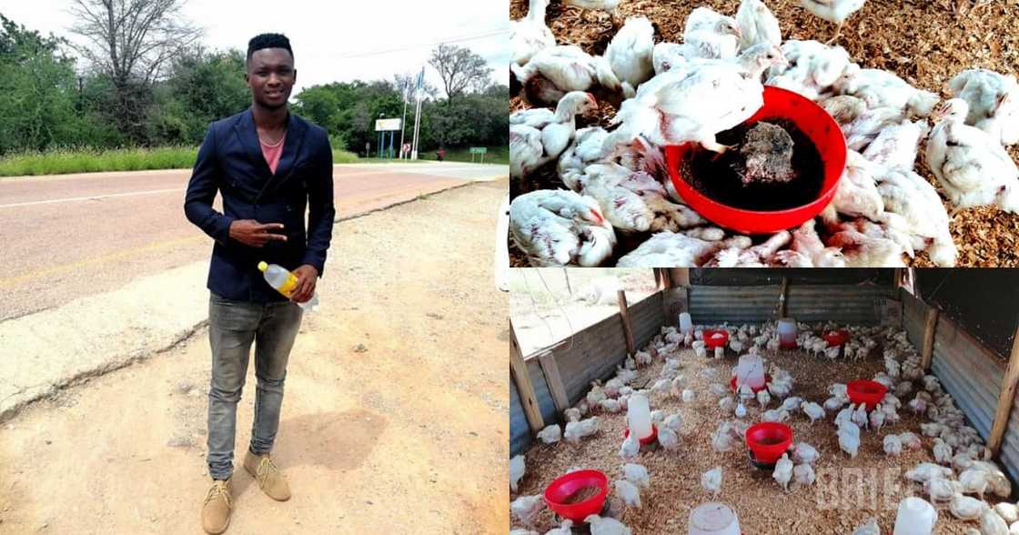 Exclusive: Thabang Turned Money for an Iphone into a R38k Poultry Farm Exclusive: Thabang Turned Money for an Iphone into a R38k Poultry Farm
