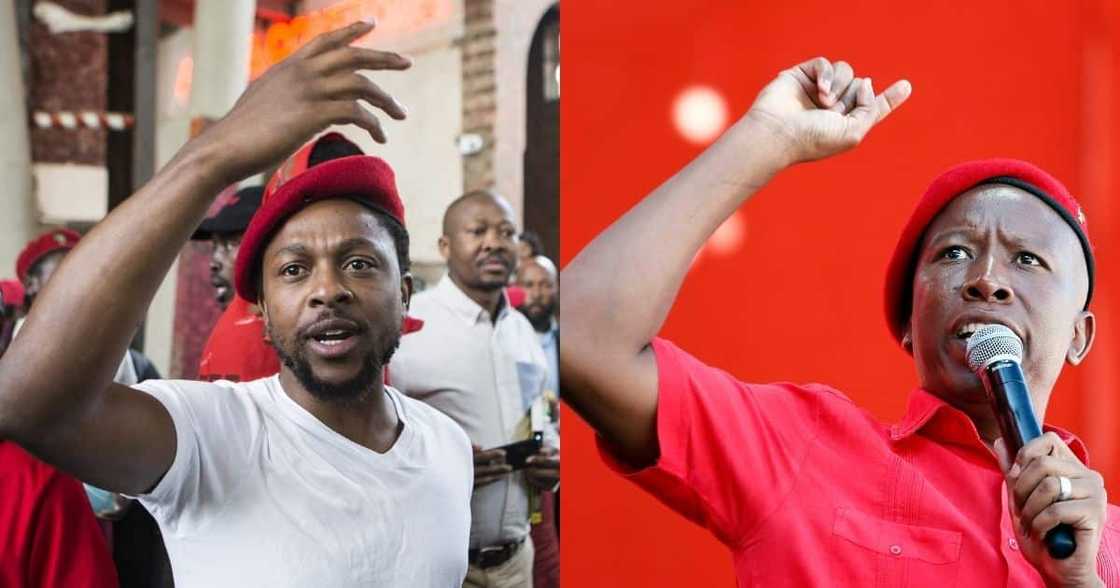 Julius Malema shares post from police about Ndlozi's rape allegations Julius Malema shares post from police about Ndlozi's rape allegations