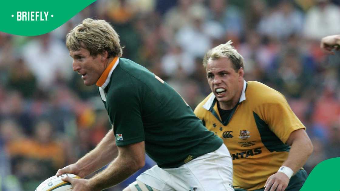 Springboks, AJ Venter, South Africa