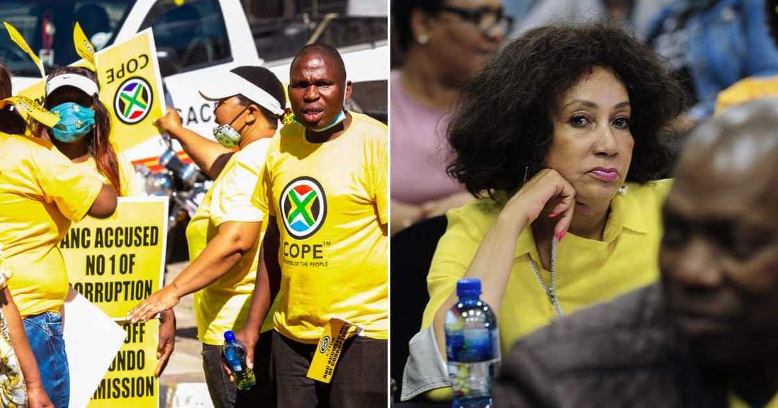 COPE says Lindiwe Sisulu should be fired COPE says Lindiwe Sisulu should be fired