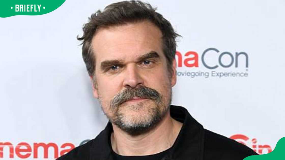 David Harbour at Caesars Palace